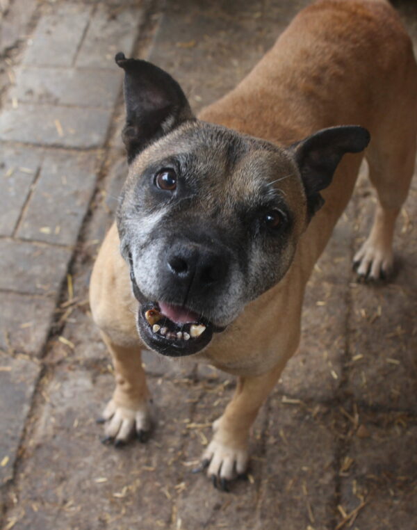 XENA - RBB 15.11.2022 – Bild 4