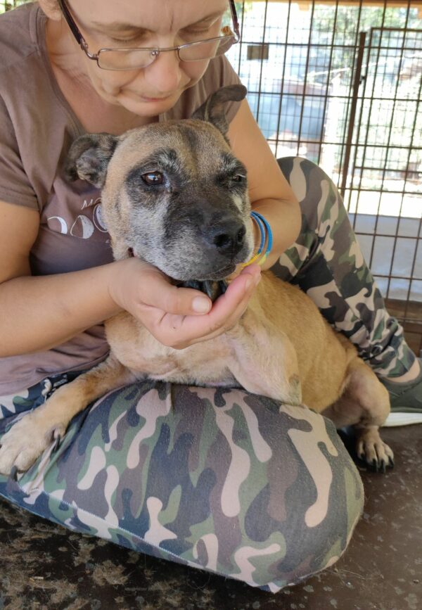 XENA - RBB 15.11.2022