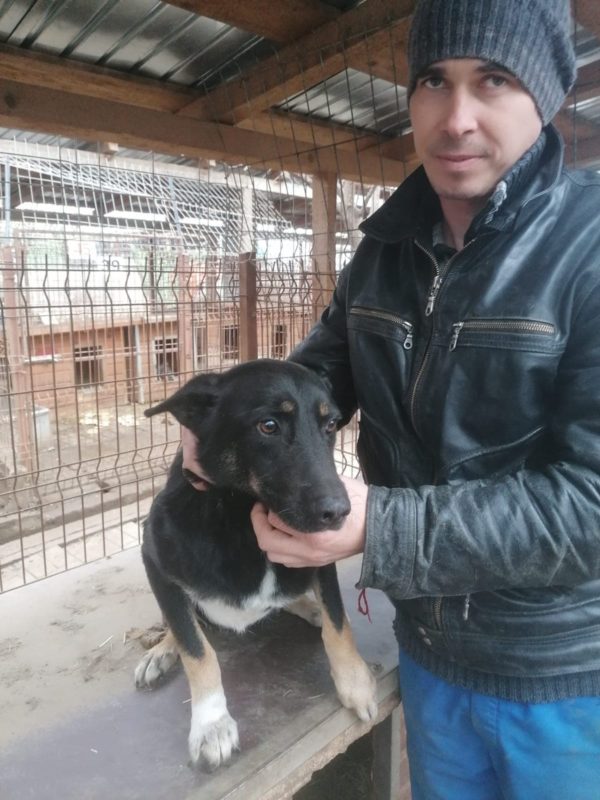 NEWTON - reserviert 4animals vermittelt – Bild 9
