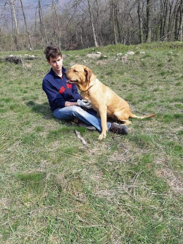 LUZIE (♀) - seit mindestens 2019 im Shelter – Bild 26