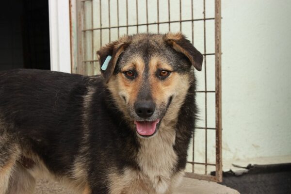 WERNER (LEO) – Bild 5