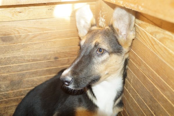 KRISTY - RBB 06/25 – Bild 2