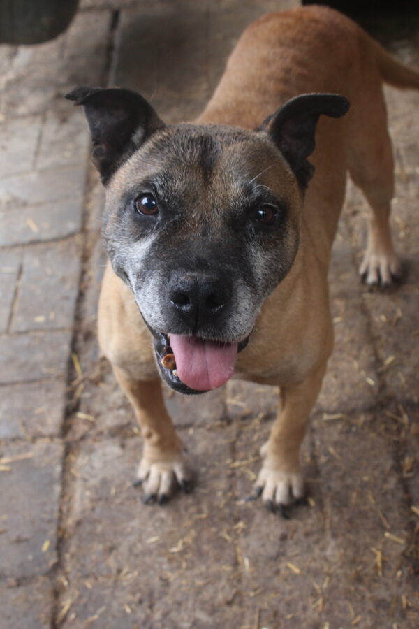 XENA - RBB 15.11.2022 – Bild 5