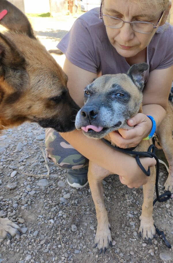 XENA - RBB 15.11.2022 – Bild 2