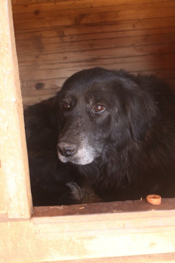 CALIMERA (CECILIE) – Bild 3