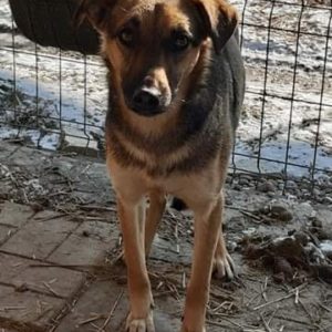 LUNA - reist auf PS in PLZ 9 - AW - ausgereist