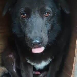 JUANITO (♂)