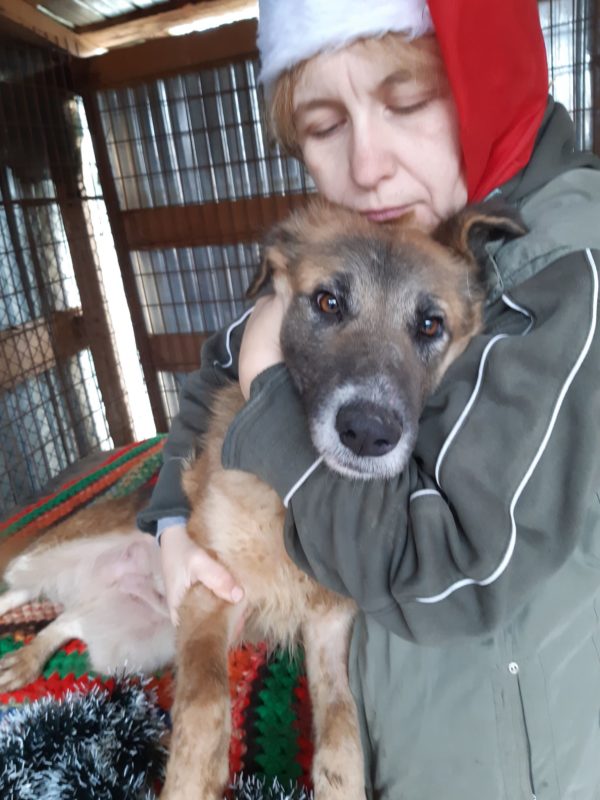 KIRA - reserviert 4animals - vermittelt – Bild 3