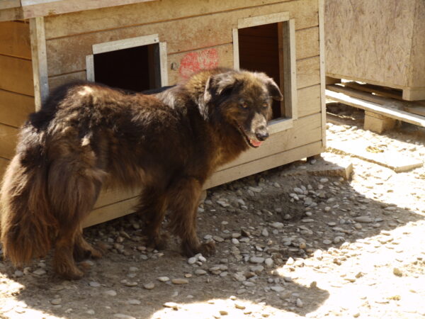 CAYSA - reserviert Manuela - vermittelt – Bild 3