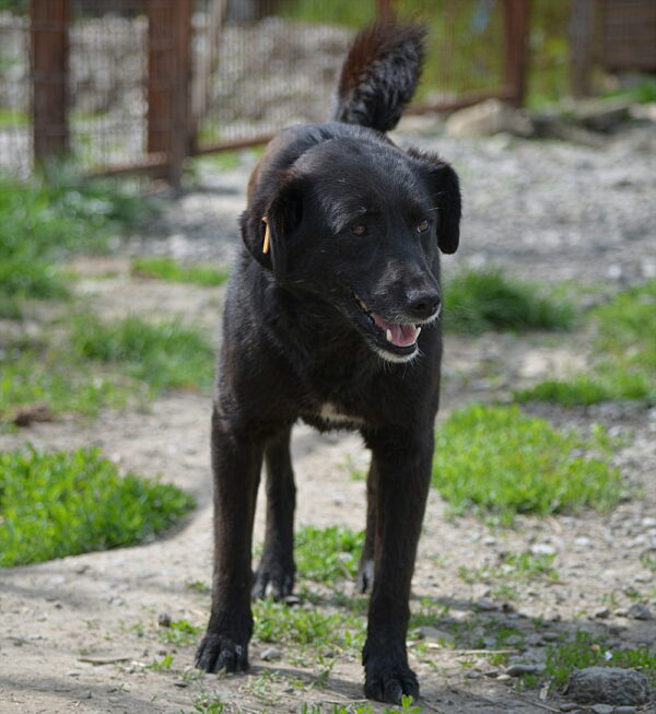 INARI (♀) – Bild 2