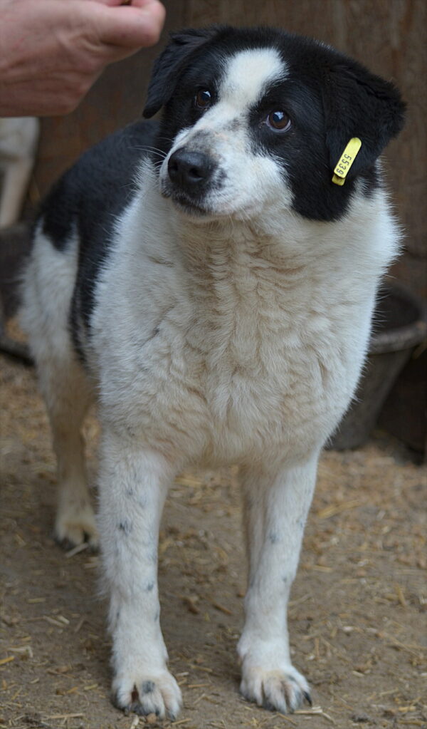 KAMI - RBB 03/23 – Bild 5