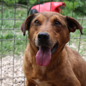 ELJO - vermisst 03/23