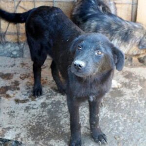 FREYA – vermisst 02/2021