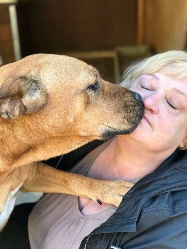 LUZIE (♀) - seit mindestens 2019 im Shelter – Bild 13