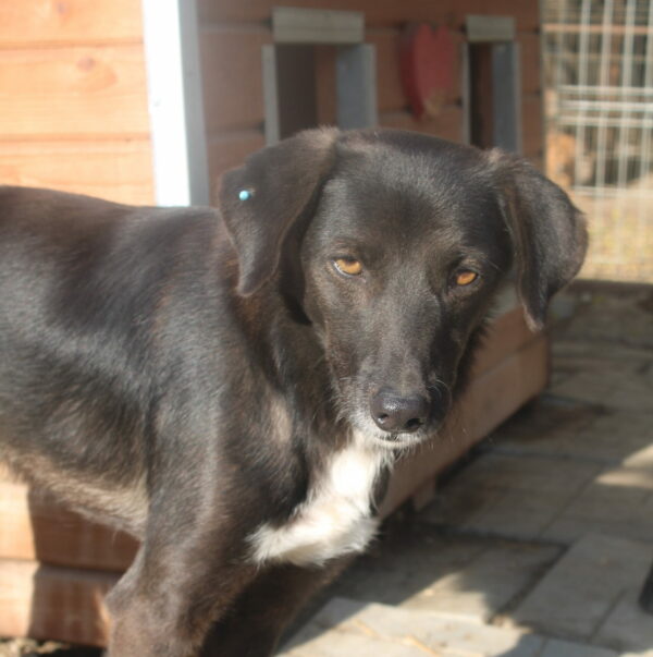 FLINCH – Bild 3