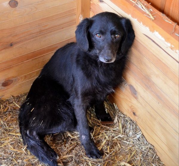 JOLIE (HEIDI) - RBB – Bild 3