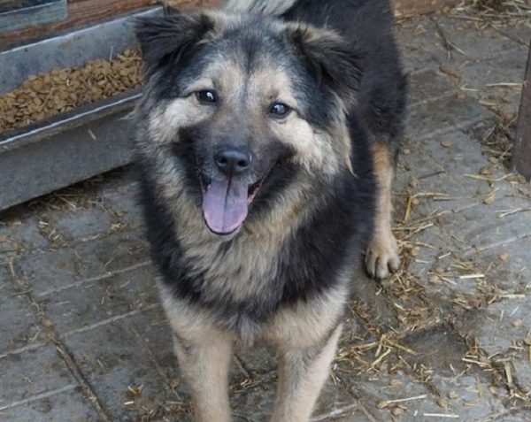 JOOST - reserviert Anna - vermittelt