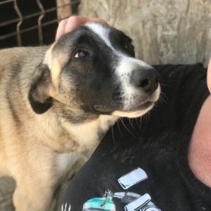 LENNY - reserviert Kathleen - vermittelt