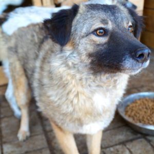 LILO - reserviert PVA - vermittelt