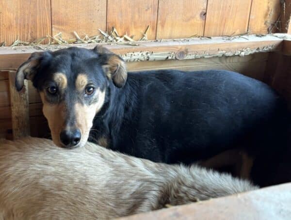 SANJA (♀) – Bild 5