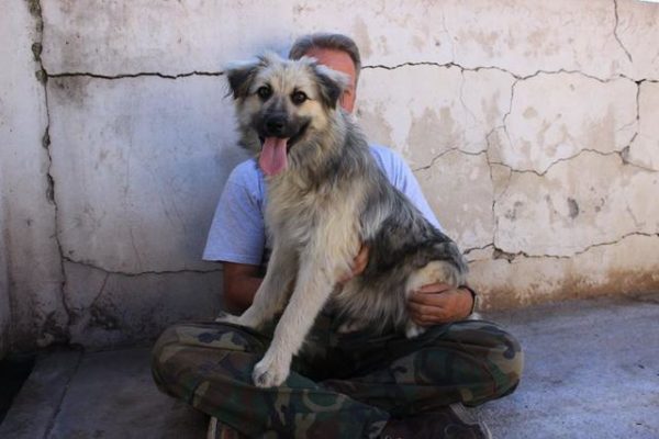 PINKO - reserviert Tierschutz Team - vermittelt