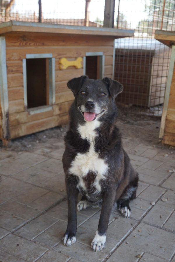 WICKIE - reserviert Betty vermittelt – Bild 3