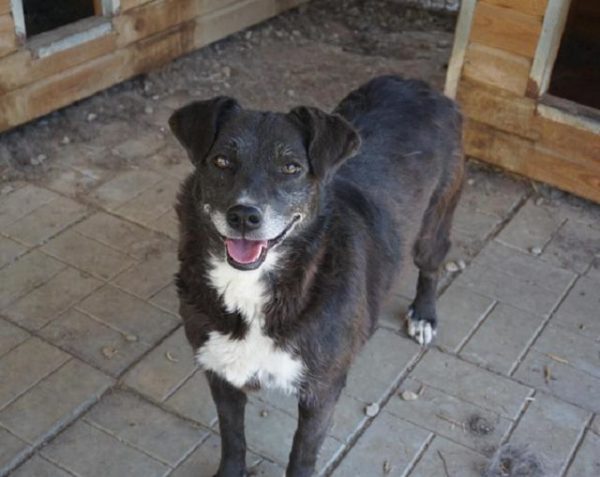 WICKIE - reserviert Betty vermittelt – Bild 5