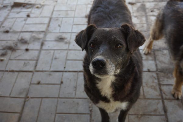 WICKIE - reserviert Betty vermittelt – Bild 4