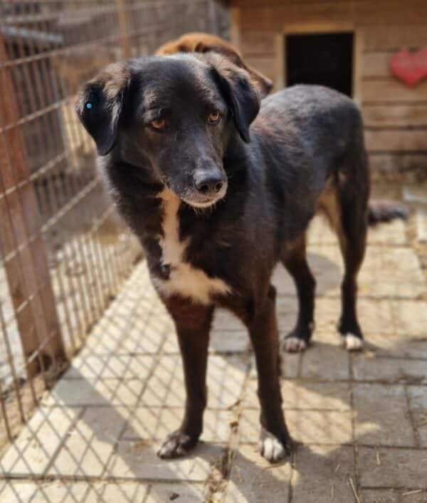 FLINCH – Bild 2