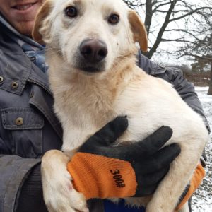 MIA - reserviert Alina - vermittelt