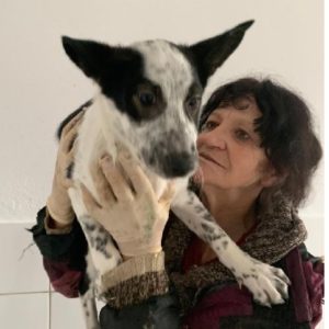 SU-ELLEN - reserviert Anna - vermittelt