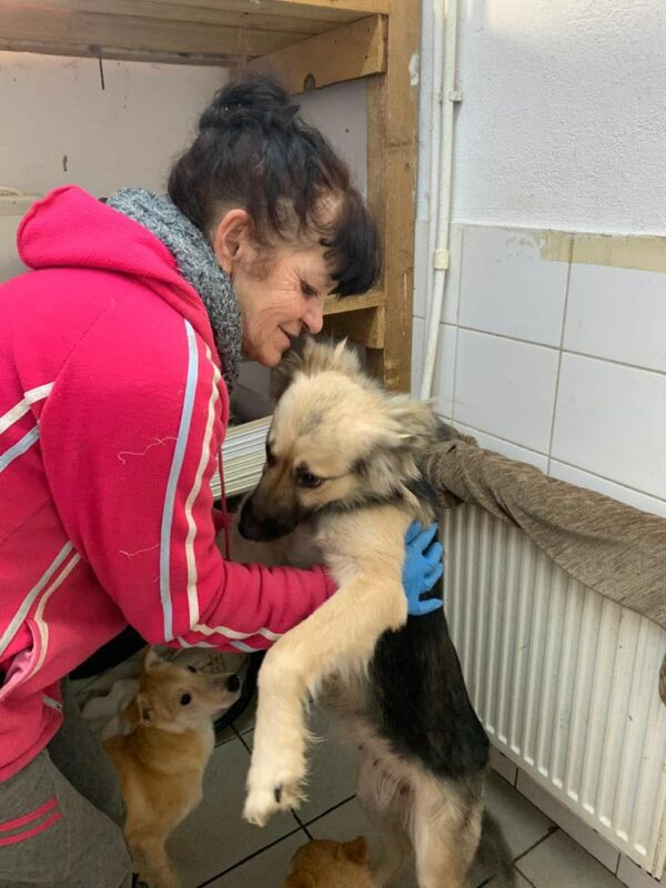MILENA - reserviert Alexandra - vermittelt – Bild 2