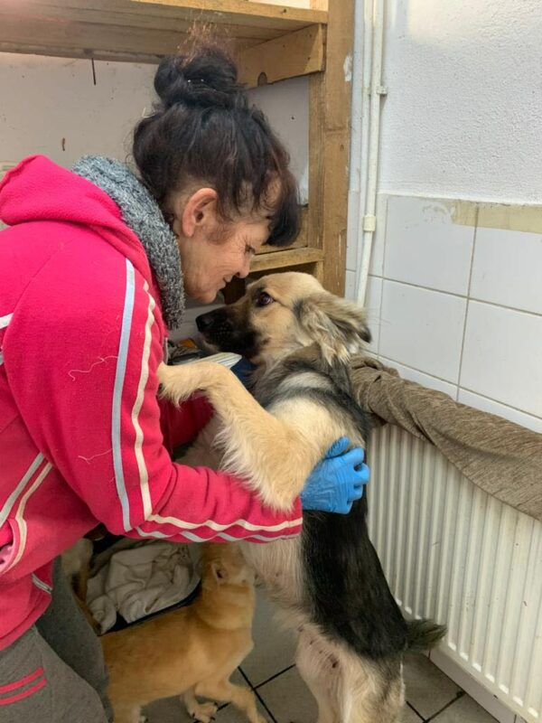 MILENA - reserviert Alexandra - vermittelt – Bild 4