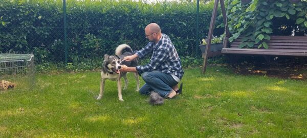 CLOONEY - Gnadenplatzhund seit dem 26.09.2020 *vermittelt* – Bild 5