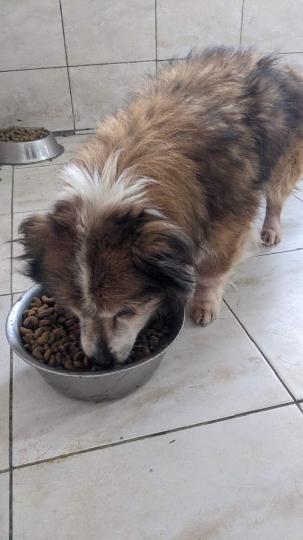 MOWGLI - RBB 05.03.2021 – Bild 2