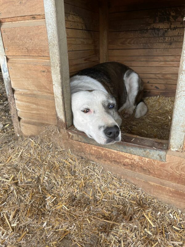 ELFIE - vermittelt LS – Bild 11