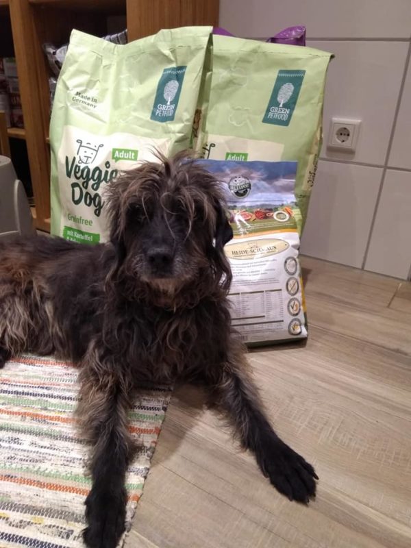 BENTJE - Gnadenplatzhund seit dem 20.10.2018 - RBB 13.06.2022 – Bild 8