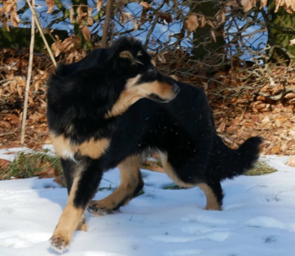 Lotti in 21521 Dassendorf *reserviert* – Bild 10