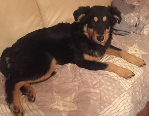 Lotti in 21521 Dassendorf *reserviert* – Bild 5