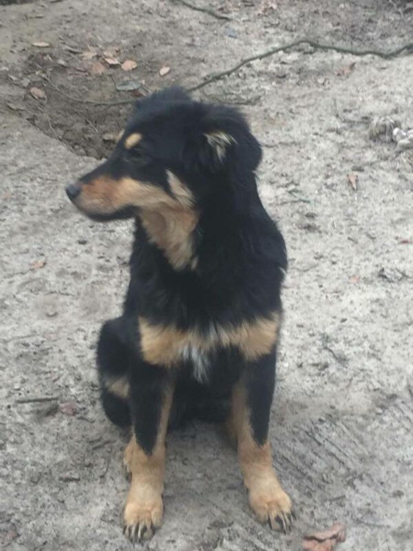 Lotti in 21521 Dassendorf *reserviert* – Bild 3