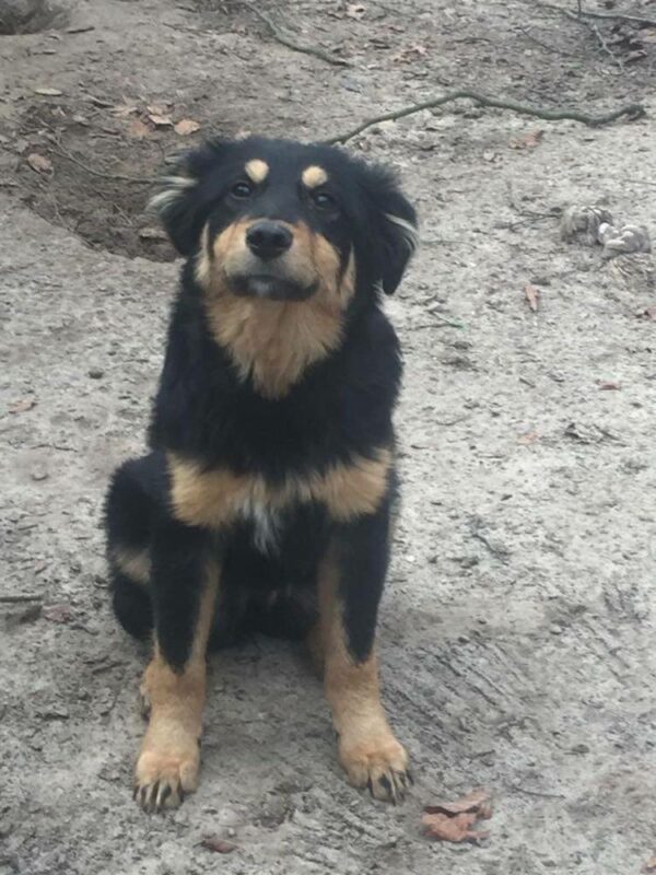Lotti in 21521 Dassendorf *reserviert* – Bild 9