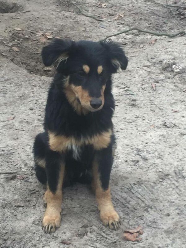 Lotti in 21521 Dassendorf *reserviert* – Bild 8