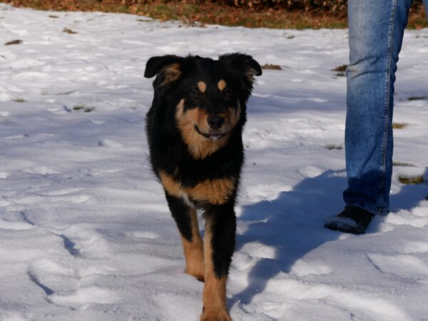 Lotti in 21521 Dassendorf *reserviert* – Bild 11