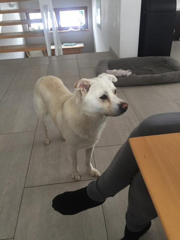 Nox - RBB 07.02.2022 – Bild 6