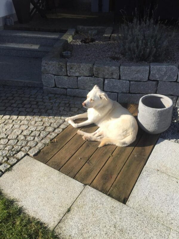 Nox - RBB 07.02.2022 – Bild 5