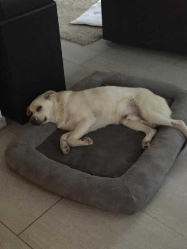 Nox - RBB 07.02.2022 – Bild 4