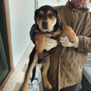 FLOYD - reserviert NiWi - vermittelt