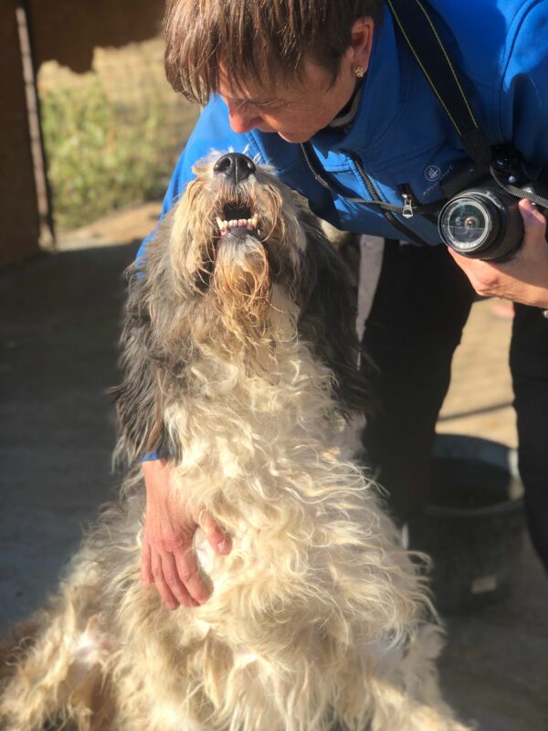 YETI - reserviert Manuela vermittelt – Bild 7