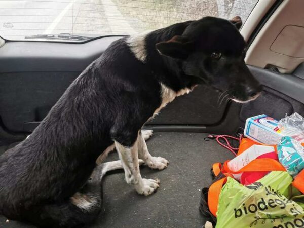 Lagomera - RBB 10.03.2021 – Bild 2