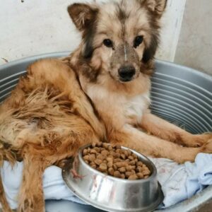 LISA - reserviert NadineZ  - vermittelt